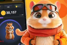 راهنمای گام به گام بازی همستر کامبت