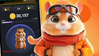 راهنمای گام به گام بازی همستر کامبت