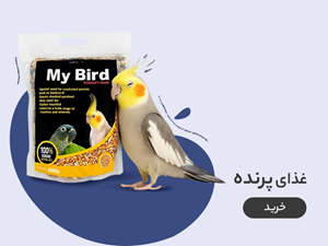 غذای پرندگان