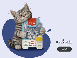 غذای گربه