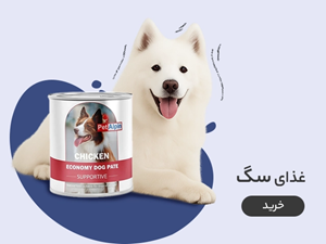 غذای سگ