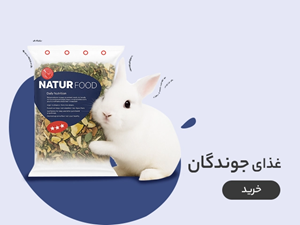 غذای جوندگان و اسب